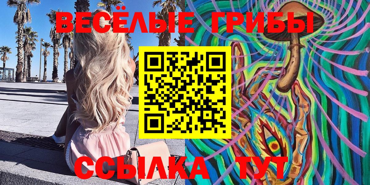 Сертолово  Галлюциногенные грибы прущие грибы  Вход с VPN 